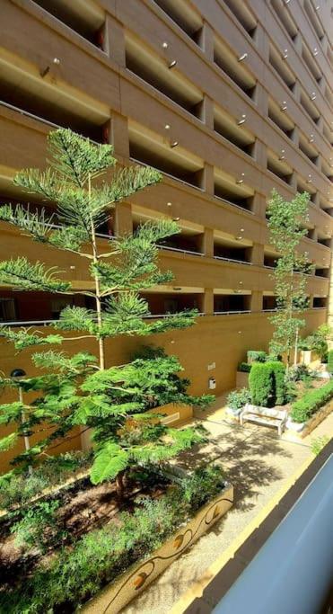 Apartamento Oropesa Del Mar- Marina D'Or- Magic World Vt30371Cs Exterior foto